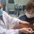 서울플러스 종합 동물병원 이미지