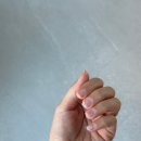 비트로 - 안산시 단원구 다리간3길 28 | 셀프네일 드릴 추천 클레브 젤네일 드릴 37종 비트로 손톱 손상 없이 케어한 후기