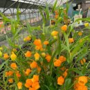 (주)칼라세상 이미지