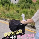 하마운동화손세탁 - 파주시 하우고개길 73 | 하마운동화손세탁