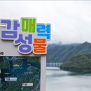 1/11(일)화천산천어축제 커피박물관 아를테마수목원 산타우체국 화천재래시장 신청 이미지