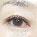 왕눈이속눈썹