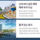 수원-0488 이미지