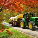 시선목장 이미지