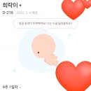 자동차종합병원 | 현대해상 굿앤굿태아보험 가입시기 사은품 현금 8배 산모특약 무료 후기