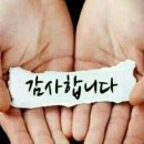 대림특수비닐