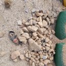 도리원초등학교 이미지