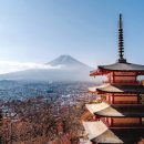 편의점보다 많았던 일본 사찰, 지금 일본 불교는?｜일본 불교