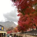 반더룽투어 이미지