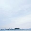 지에스25시흥정왕로점 | 🚈인천 영종도, 내돈내산 숙소 & 식당 추천(횟집, 칼국수, 해물파전)