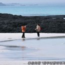 협재 해변(협재해수욕장) 이미지