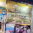 동경참치 이미지