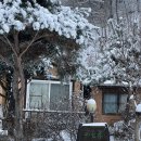 파인휴펜션 이미지