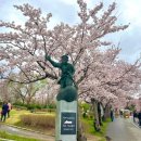 허균생가터
주차장 이미지