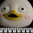 가평 물골숲 계곡 캠핑장 네이버블로그