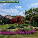 용인 양지면 3룸 임대자리, 건물 20평 보 2000 월 70만원 전원형 쓰리룸 임대차 정보 이미지