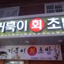 거북이회초밥 이미지