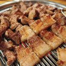 제주돈시대 이미지