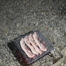 포항 오토캠핑장 추천 | 그린오토캠핑장에서 먹고 쉬고 힐링한 1박 2