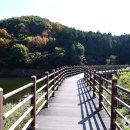 모암축제장 화장실 이미지