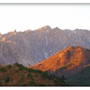 산세라 이미지