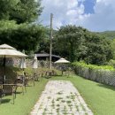 장흥계곡집 이미지