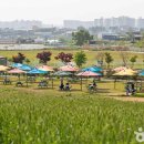 (주)서강에프씨 이미지