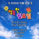 기생 오라비~~비 이미지