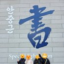 상업용 80 | 초등학생과 가볼만한 역사 체험지! 대한민국역사박물관 방문 후기 (광복 80주년 전시 관람팁)