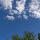 오현숙내과의원 이미지