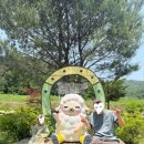 서울 근교 아이와 갈볼만한 양평 양떼목장 - 입장료 할인 / 주차 / 유모차