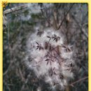 서광유치원 이미지