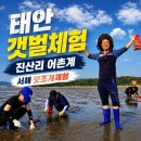 태안 갯벌체험 펜션 추천 진산리 어촌계 갯벌체험장 서해 맛조개 체험 후기