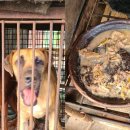 애니농장 이미지