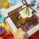 몽몽드림 이미지