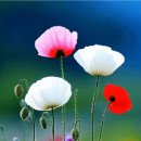 9월 10일 수요일 간추린 뉴스와 날씨 이미지