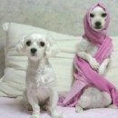 정신