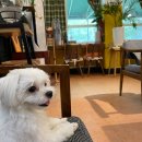 징검다리연구소 이미지