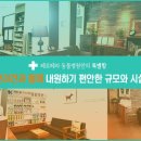 페로페라 동물병원 이미지