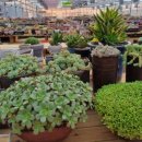 억대농장 이미지