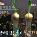 벨루스퀸 네이버블로그