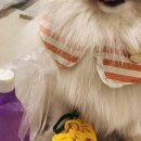 너와함개 이미지