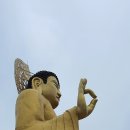 부산 홍법사 부처님진신사리와 아미타대불 및 과거,현재,미래의 3000불 친견!!! 이미지