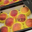 황금빛청과