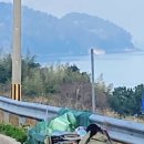 금오도 야영장 이미지