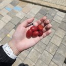 귀향 일기 Day3_꽈배기 전문가의 맛집 공개