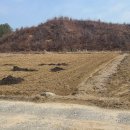 금산농장 2 이미지