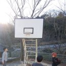 세영