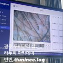 닥터스팀 | 광주 두피 관리 라두피 아카데미 다녀왔어요, 만성 두피 가려움 해소
