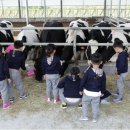 도청농장 이미지